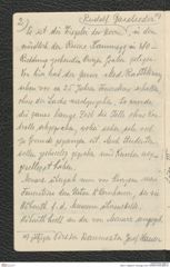 Seite 4, Tagebuch "Kamegg | Horn² (NHMW-PRAE-BBB-27)